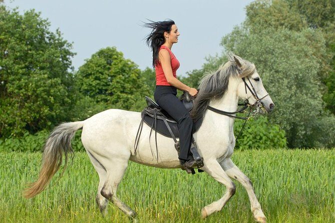 Tour to Burabay National Park - An In-Depth Look at the Tour Experience