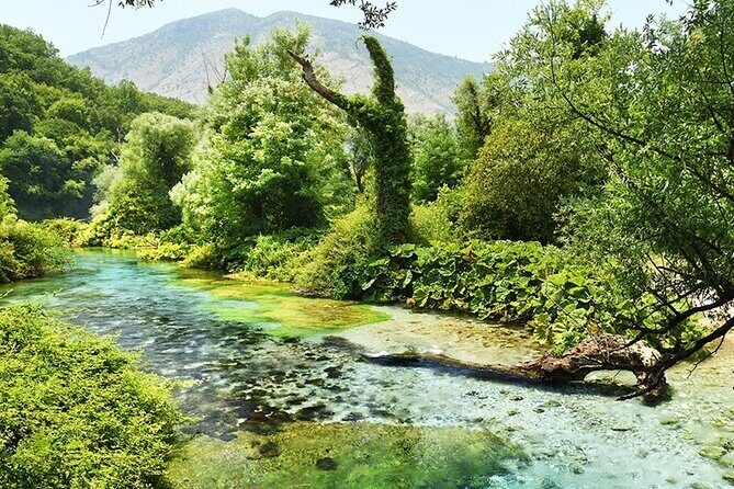 Tour to Butrint Antic City/Blue Eye Spring/Lekursi Castle - Final Thoughts: Who Should Book?