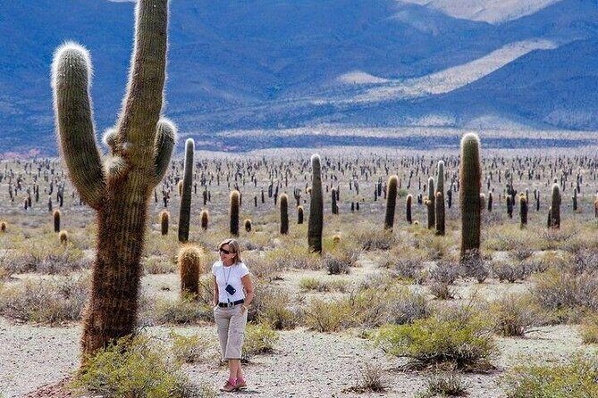 Tour to Cachi from Salta - Experience the Charm of Cachi with a Full-Day Tour from Salta