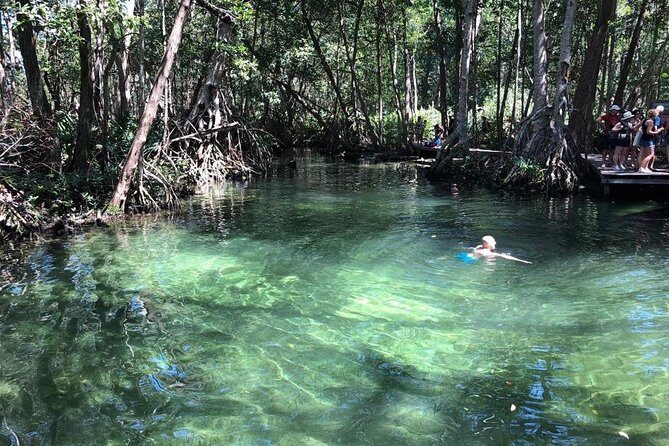 Tour to Celestún - Exploring Celestún: A Nature Tour from Mérida