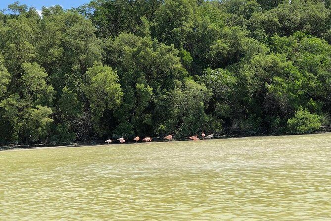 Tour to Celestún - Key Points