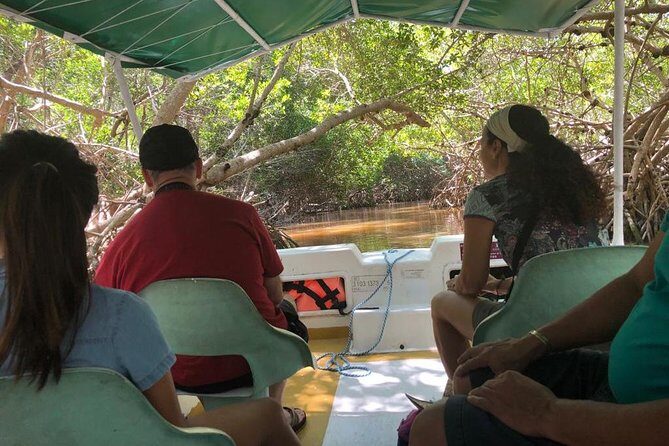 Tour to Celestún - FAQs