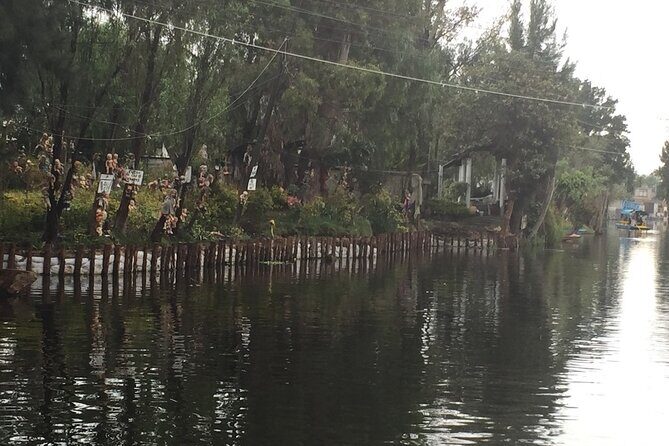 Tour to Coyoacan and Frida Kahlo and Xochimilco - The Bottom Line