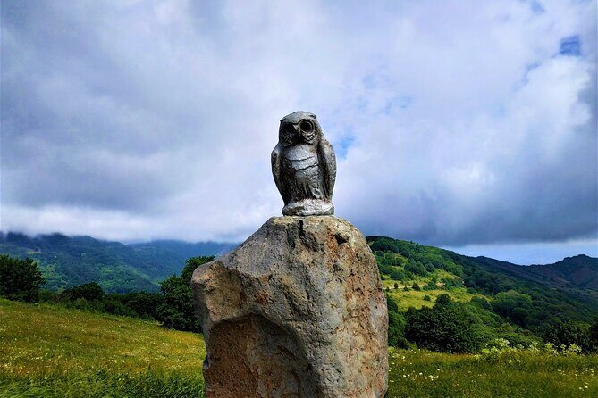 Tour to Didgori Valley from Tbilisi (Turtle Lake, Ethnographic Museum, Kojori) - Exploring Georgia’s Didgori Valley: A Full-Day Private Adventure