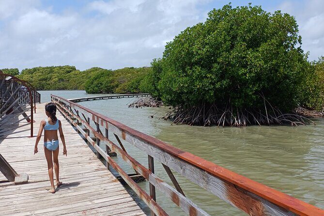 Tour to discover the paradisiacal beaches of the South (Salines) - An In-Depth Look at the Tour Experience