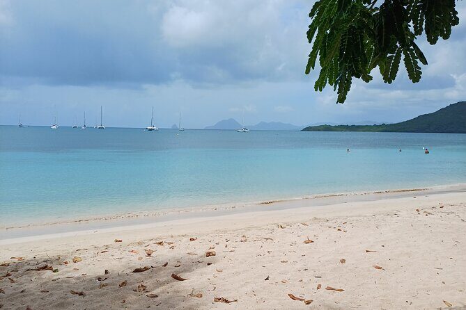 Tour to discover the paradisiacal beaches of the South (Salines) - FAQs