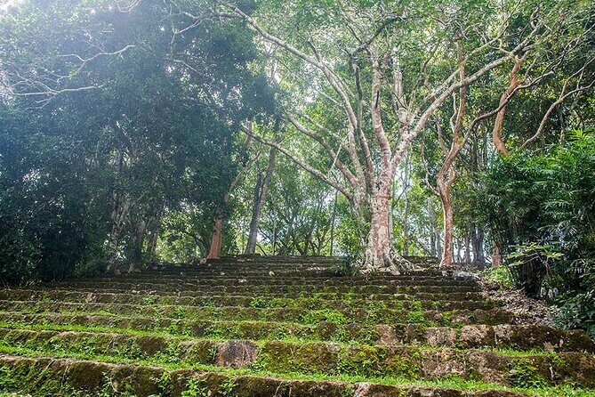 Tour to Dzibanche and Kohunlich with Transportation and 3 Course Meal Included - FAQ