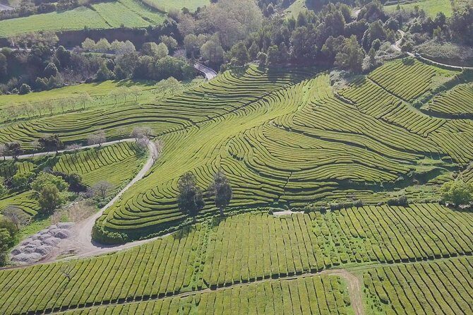 Tour to Furnas and Terra Nostra Garden - full day - FAQ
