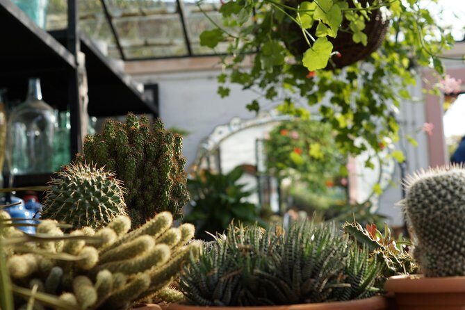 Tour to Gardenia Shevardnadze Flea Market and Tbilisi Old Town - Frequently Asked Questions