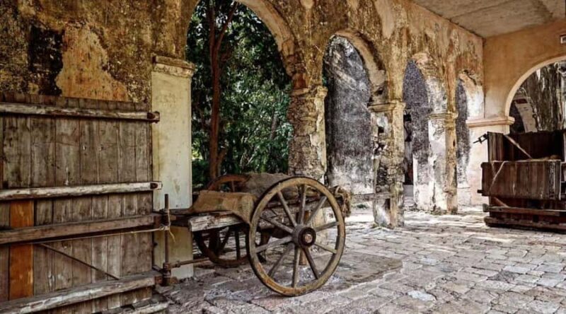 Tour to Hacienda Mucuyché, 2 cenotes & Oxkintok from Merida - What Makes This Tour Special?