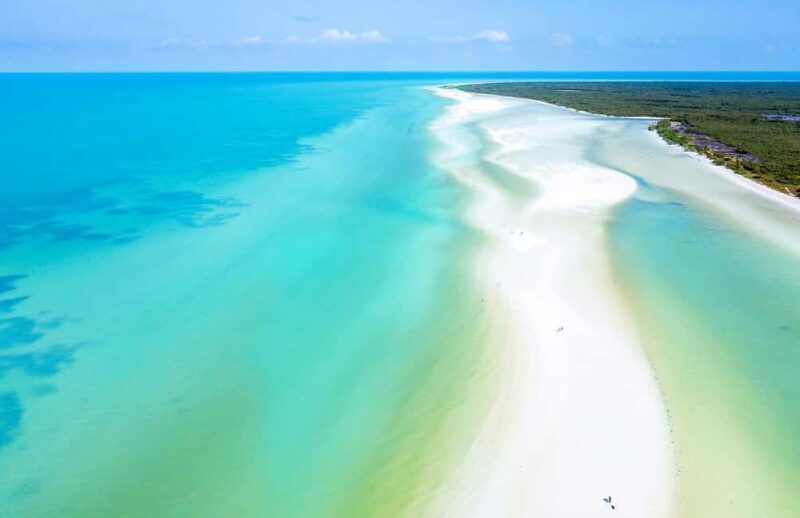 Tour to Holbox with food and transportation from Cancun, Playa del Carmen, and Tulum - Experience the Hidden Paradise of Holbox in a Day