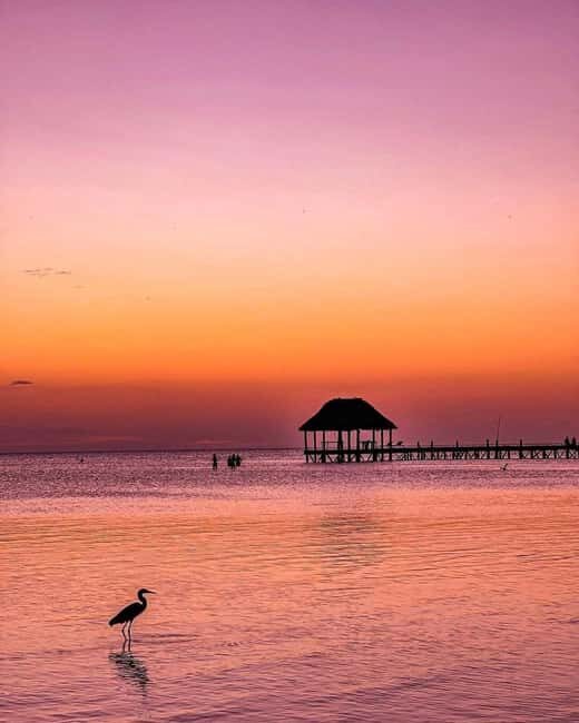Tour to Holbox with food and transportation from Cancun, Playa del Carmen, and Tulum - Details That Matter for Your Planning