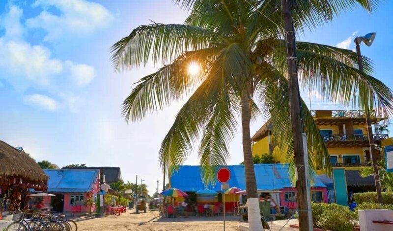 Tour to Holbox with food and transportation from Cancun, Playa del Carmen, and Tulum - Who Will Love This Tour?