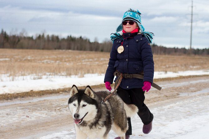 Tour to Husky Park with Cani-Cross Hike - Who This Tour Is Best For