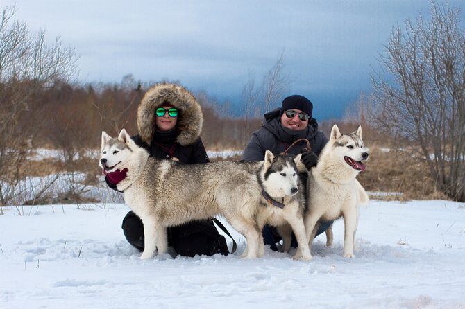 Tour to Husky Park with Cani-Cross Hike - Key Points