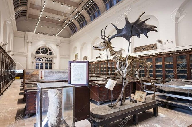 Tour to Indian Museum Kolkata - Discovering Kolkata’s Indian Museum: An Authentic Cultural Journey