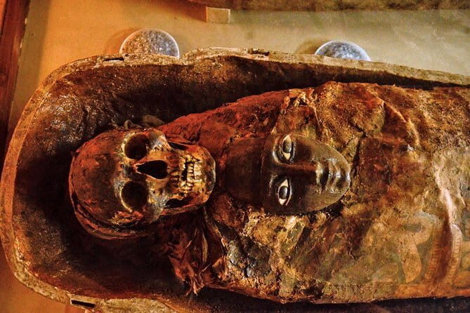 Tour to Indian Museum Kolkata - FAQ