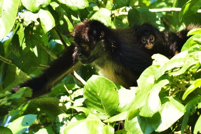 Tour to Kin Ha Cenotes with Craft Jewelry Workshop - FAQ: Your Practical Questions Answered