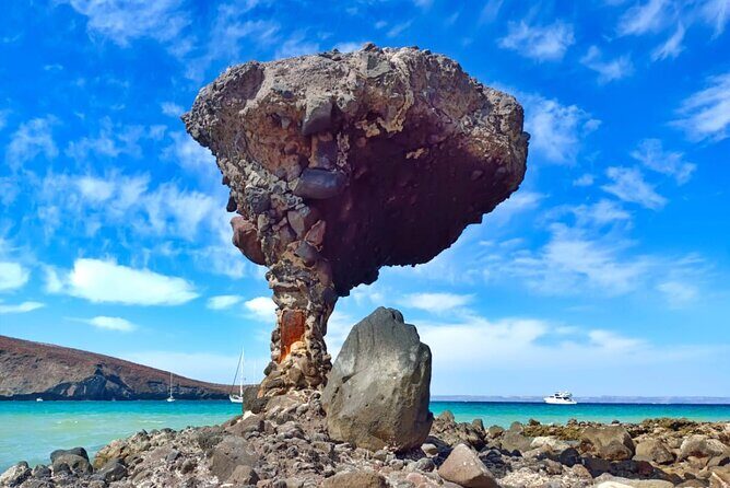 Tour to La Paz Playa Balandra Malecón and Todos Santos - A Closer Look at the Itinerary and What You Can Expect