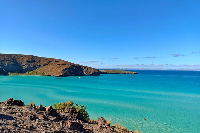 Tour to La Paz Playa Balandra Malecón and Todos Santos - What’s Included and What to Keep in Mind