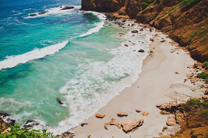 Tour to La Plata island and whales watching - Frequently Asked Questions