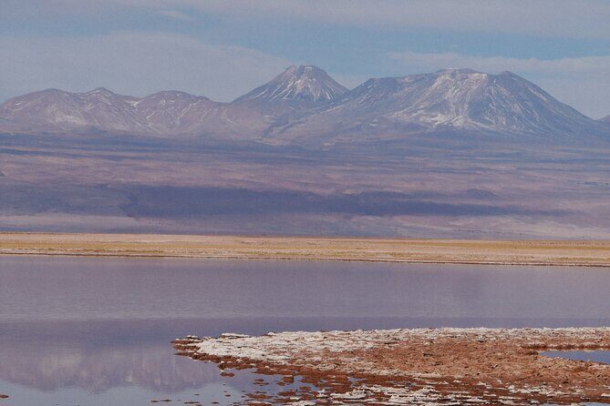 Tour to Laguna Cejar, Ojos del Salar and Laguna Tebinquiche - Key Points