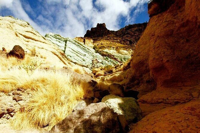 Tour to Mogán, La Aldea & Las Canteras - Big Island tour - The Complete Guide to the Mogán, La Aldea & Las Canteras Tour