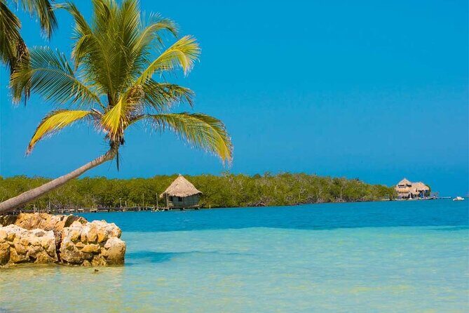 Tour to Múcura and Tintipán with breakfast, lunch and pick-up - Key Points