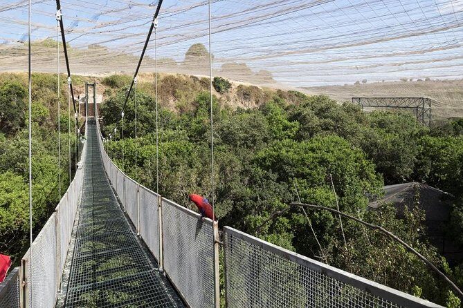 Tour to Parque Tricao + Aviario and Pomaire full day from Santiago - Pomaire: Chilean Crafts and Local Flavors