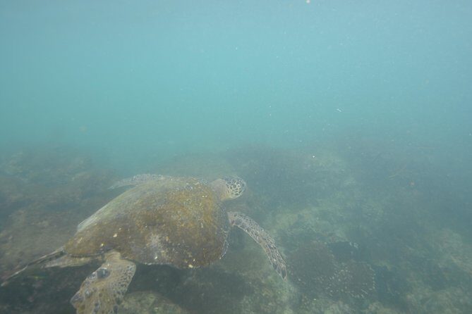 Tour to Pinzón + Las palmas - An In-Depth Review of the Tour Experience