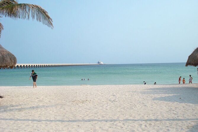 Tour to progreso, corchito and salt ponds - Who Will Love This Tour?