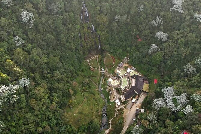 Tour to Santa Rosa de Cabal Coffee Farm and Hot Springs - Practical Details and Pacing