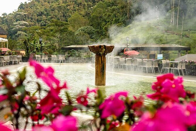 Tour to Santa Rosa de Cabal Coffee Farm and Hot Springs - The Sum Up