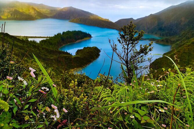 Tour to Sete Cidades, Lagoa do Fogo and Furnas - Who Should Book This Tour?