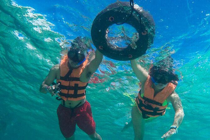 Tour to swim with turtles - Final Thoughts