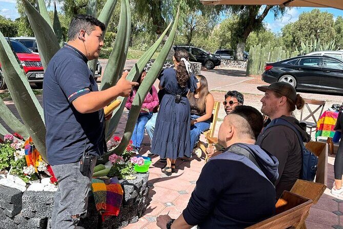 Tour to Teotihuacan Pyramids - The Experience from the Traveler’s Perspective