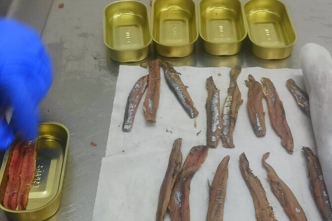 Tour to the Anchovies Factory and Santoña Marshes with Tasting - A Full Breakdown of the Tour Experience