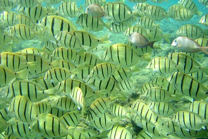 Tour to The Arch and Lover's Beach (optional) from Cabo - Who Should Consider This Tour?