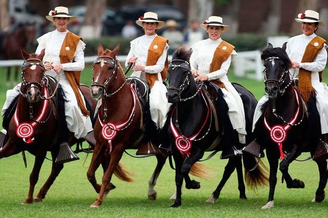 Tour to the archaeological sanctuary of Pachacamac + Lunch Show - Who Will Love This Tour?