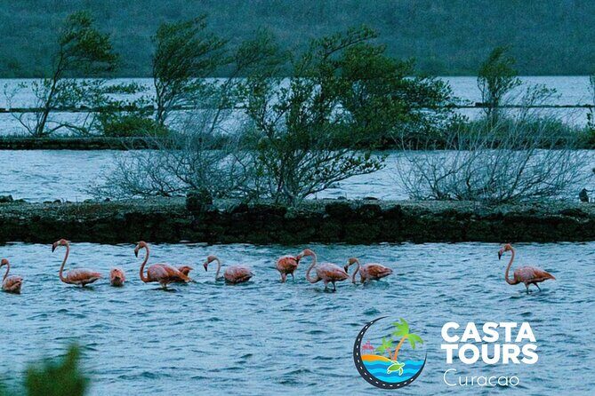 Tour to the best beaches; snorkel with fish and turtles - Snorkeling with Turtles and Marine Life