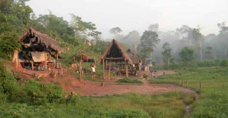 Tour to the indigenous communities of the Amazon Iquitos - Exploring the Amazon’s Heart: What to Expect on Your Tour