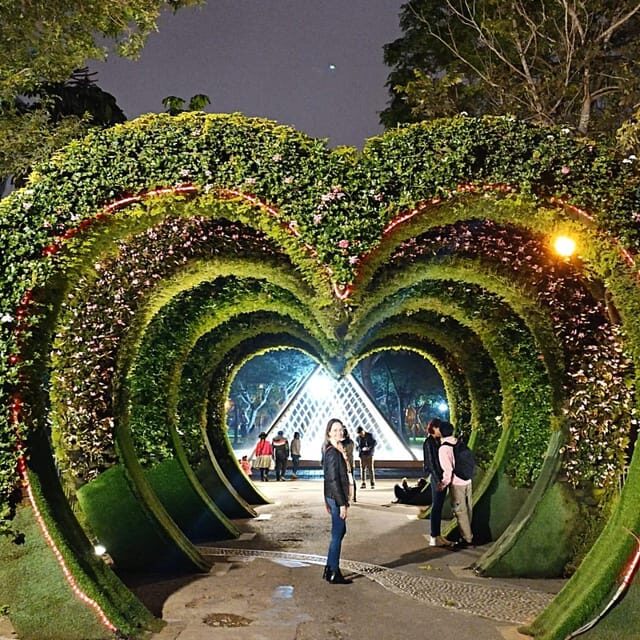 Tour to the magical water circuit with dinner and dance show - What This Tour Means for Your Trip