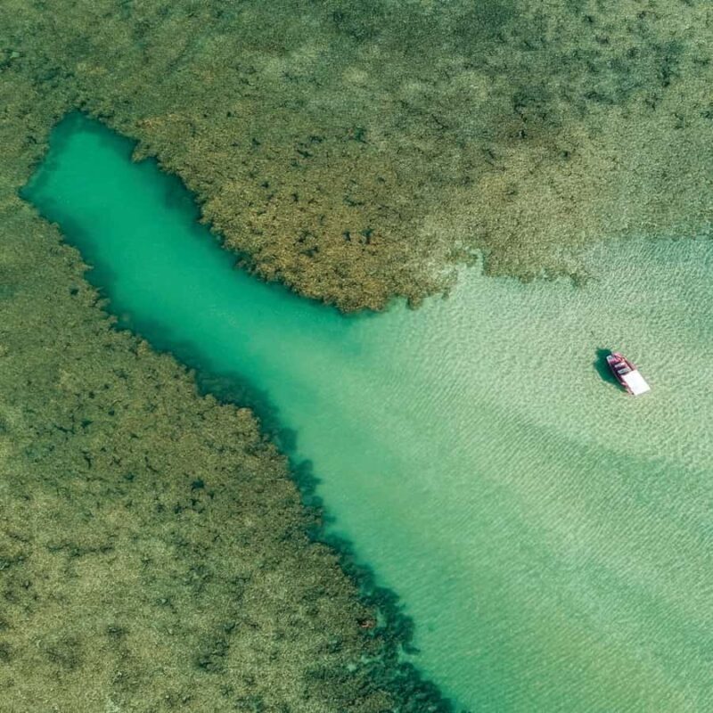 Tour to the Natural Pools of Maragogi - Key Points