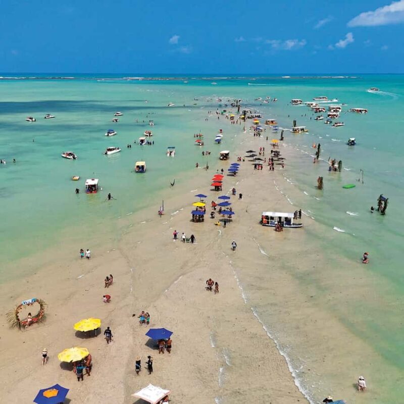 Tour to the Natural Pools of Maragogi - Discovering Maragogi’s Natural Beauty