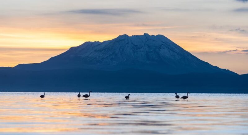 Tour to the Salinas Lagoon and National Reserve in Arequipa - An In-Depth Look at the Salinas Lagoon and National Reserve Tour