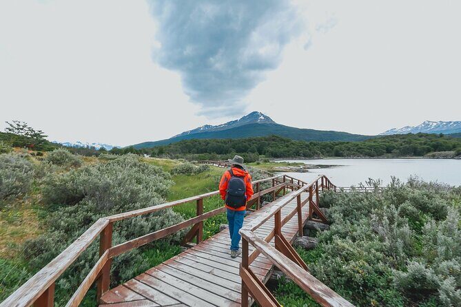 Tour to Tierra del Fuego National Park from Ushuaia - The Value of This Tour