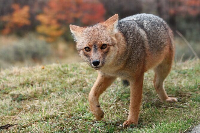 Tour to Tierra del Fuego National Park from Ushuaia - A Detailed Look at the Tierra del Fuego Tour