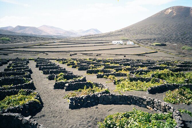 Tour to Timanfaya, La Geria and La Laguna Verde - Exploring Lanzarote’s Highlights in 5 Hours
