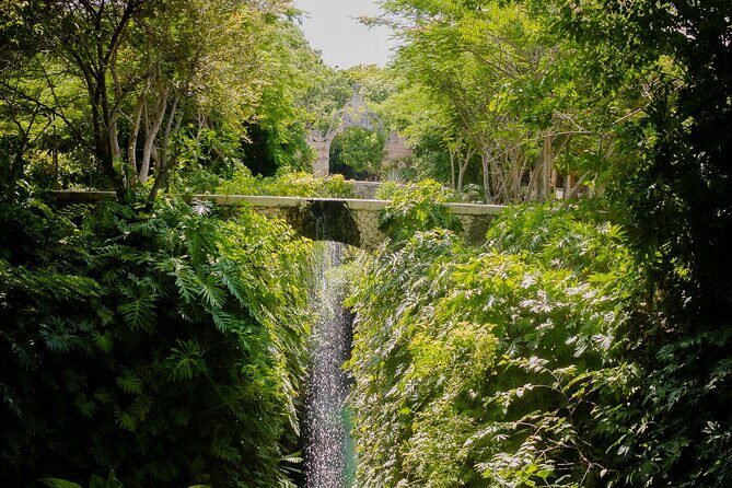 Tour to Uxmal and Hacienda Mucuyché included - Who Is This Tour Best For?