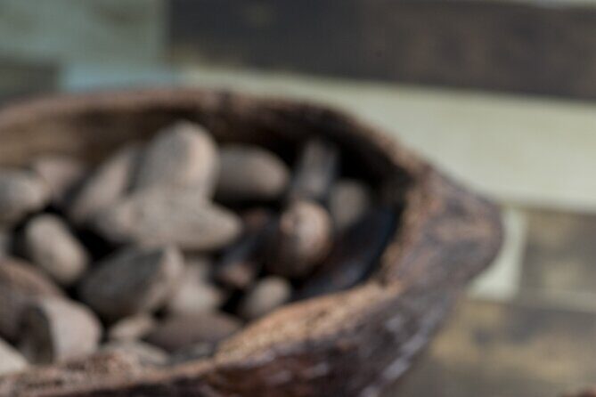 Tour to Uxmal + Choco Story Chocolate Museum - Who Will Love This Tour?